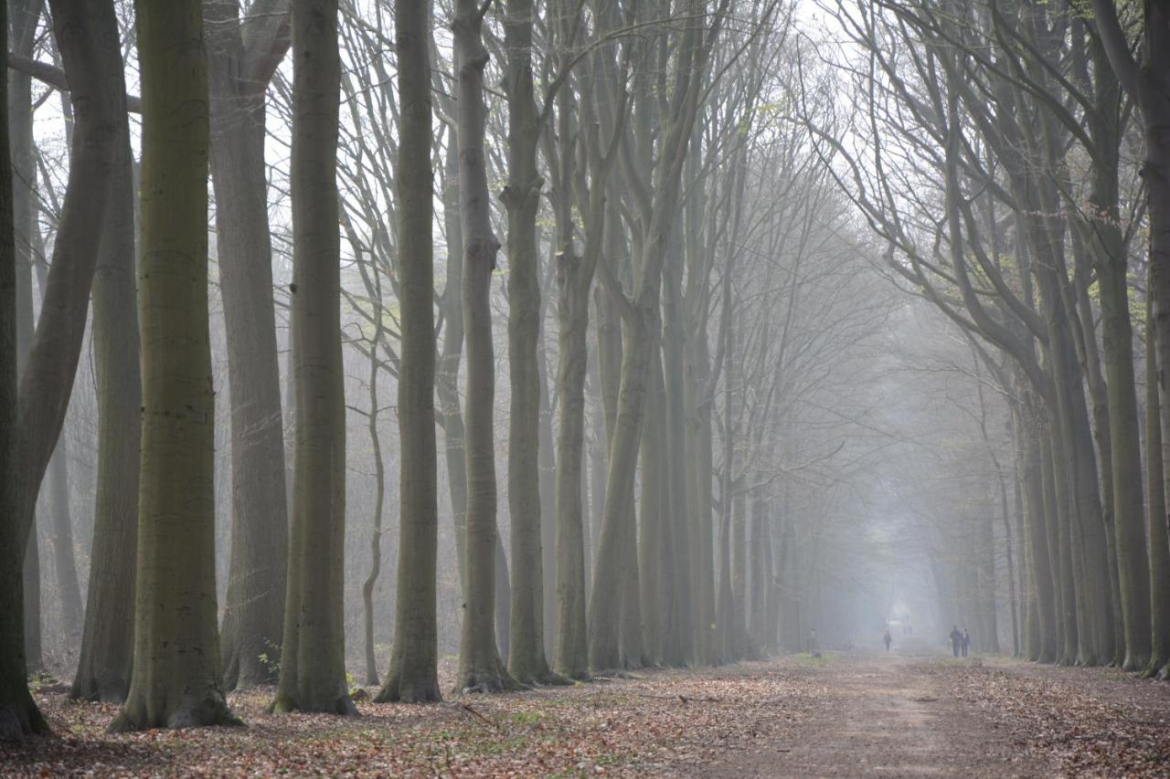 Beeltjens B&B: Wolf&Belle Westerlo Exteriör bild