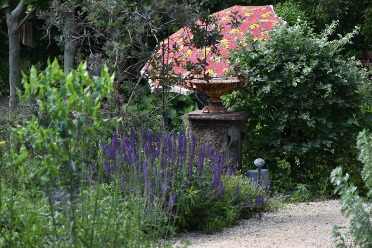 Beeltjens B&B: Wolf&Belle Westerlo Exteriör bild