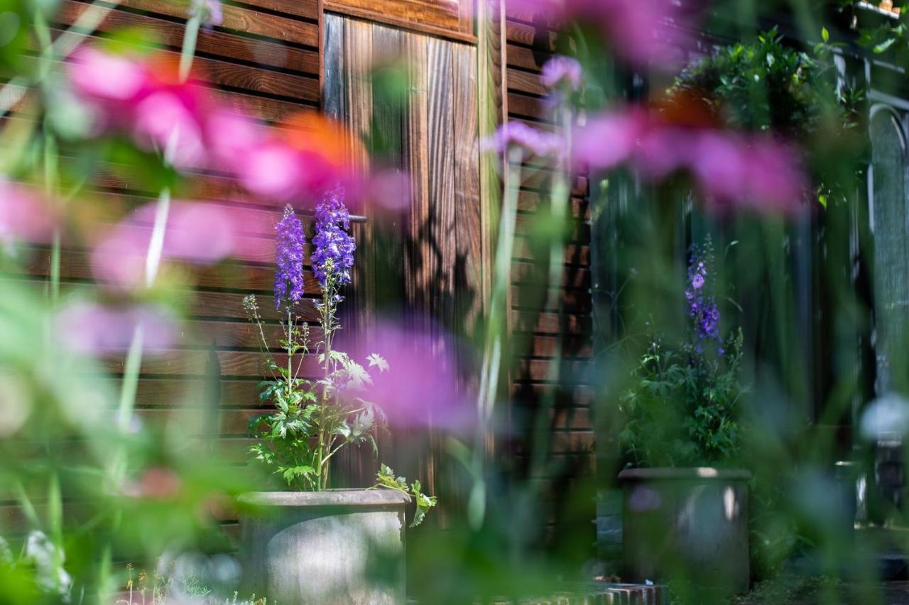 Beeltjens B&B: Wolf&Belle Westerlo Exteriör bild